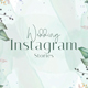 Wedding Invitation Intro - Instagram Stories, Reels, TikTok, Shorts - VideoHive Item for Sale