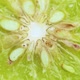 close up bergamot - VideoHive Item for Sale