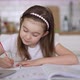 Girl Making Notes During Remote Lesson - VideoHive Item for Sale
