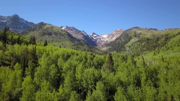 Aerial view flying over thick forest towards mountains