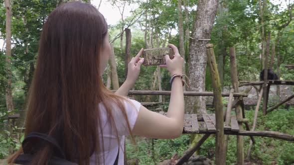 Asian Girl Taking Photo Bear