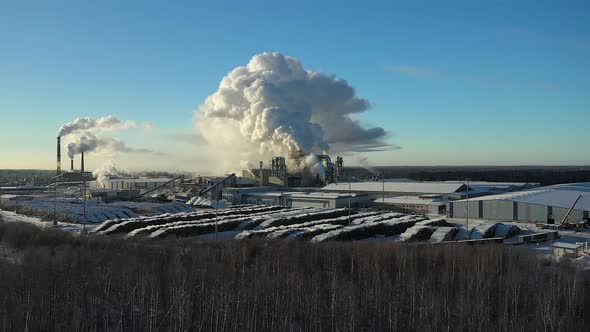 A Large Industrial Enterprise for Wood Processing in Siberian Forests