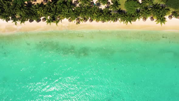 Luxury tropical beach in Mauritius. Beach with palms and blue ocean. Aerial view. Amazing Trou aux B