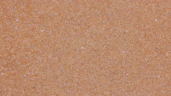 Top View Soft White Wave of the Sea on the Sandy Beach