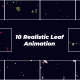 Realistic Falling Leaves | DR - VideoHive Item for Sale