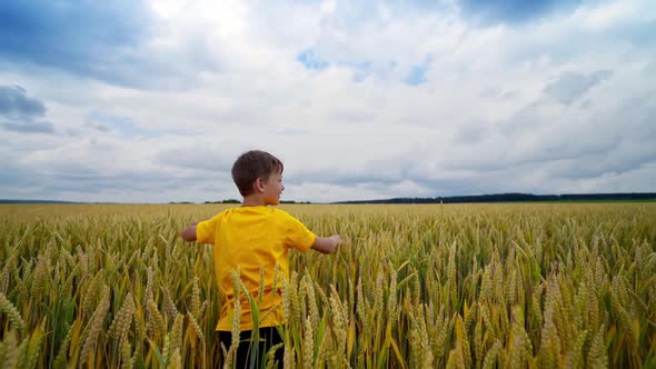 Boy with his airplane. Happy boy throwing toy airplane on wheat field