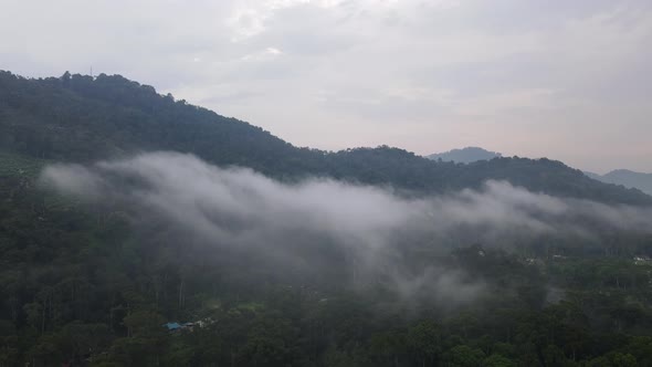 Drone shot misty over plantation