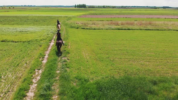 Two Horse Riders On A Light Brown And A Bay Horse Moving Across The Farm Field