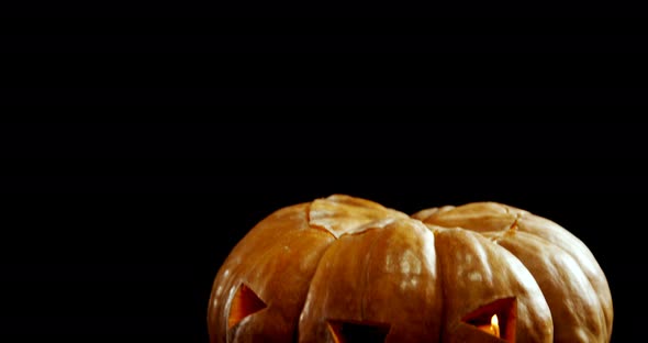 Halloween pumpkin against black background 4k