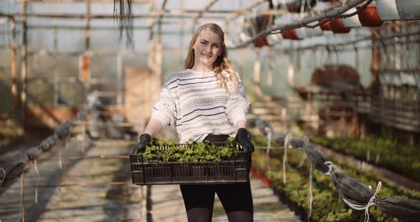 Agriculture - Female Gardener Holding Box with Flower Seedlings