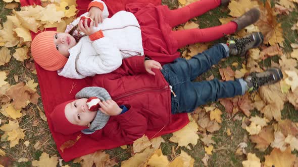 Little Preschool Kid Siblings Girl Boy Smiling Lay Down Resting Relax On Plaid Fallen Leaves In