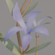 Periwinkle - 3DOcean Item for Sale