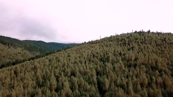 Aerial of Flying Over a Beautiful Green Forest in a Mountains Landscape, Midle Shot