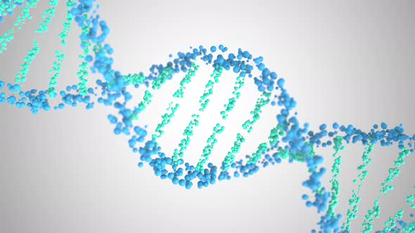 DNA Molecule Helix