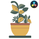 Animated House Plants Icons for DaVinci Resolve - VideoHive Item for Sale