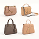 Fashion Handbag Collection 5 - 3DOcean Item for Sale