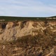 Cows Grazing Along the Edge on Top of a Cliff on the Cap Blanc Nez on the Cote d'Opale in the - VideoHive Item for Sale