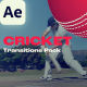 Cricket Transitions - VideoHive Item for Sale