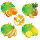 Tropical Fruit - GraphicRiver Item for Sale