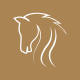 StallionEstate - Horse Breeding Business Elementor Pro Template Kit - ThemeForest Item for Sale