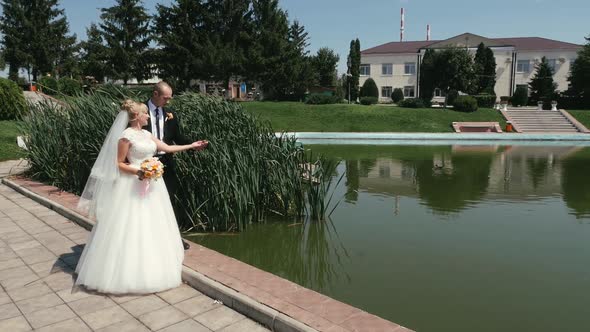 Young Bride and Groom in the Park Near the Lake