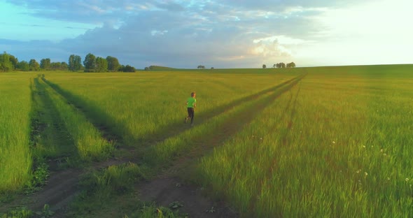 Sporty Child Runs Through a Green Wheat Field. Evening Sport Training Exercises at Rural Meadow. A