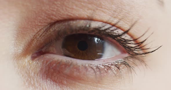 Close up view of a brown eye