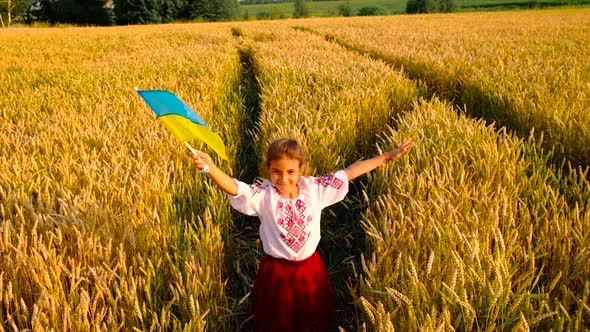 Child in Wheat Field Concept for Ukraine Independence Day