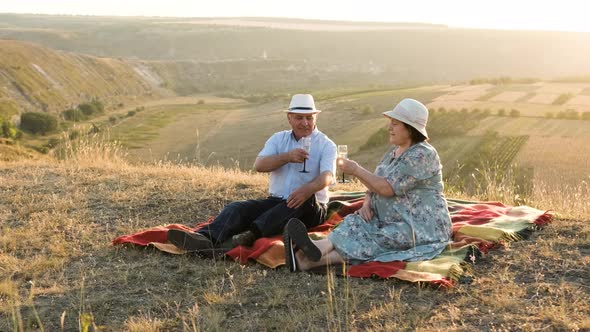 Elderly Couple Sit on the Top of a Hill at a Picnic, Cheers a Glass of Champagne