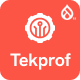 Tekprof - IT Solution & Technology Drupal 11 Theme - ThemeForest Item for Sale
