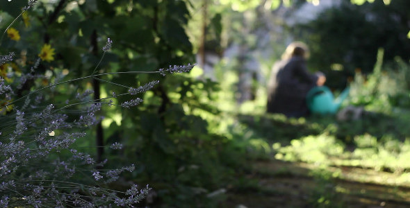 In the Garden