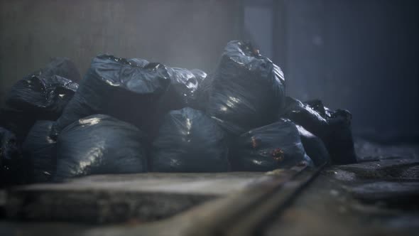 Garbage Bags at City Street an Night alt