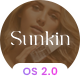 Sunkin - Beauty & Cosmetics Store Shopify 2.0 Theme - ThemeForest Item for Sale