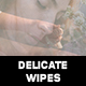 Delicate Wipes Transitions - VideoHive Item for Sale