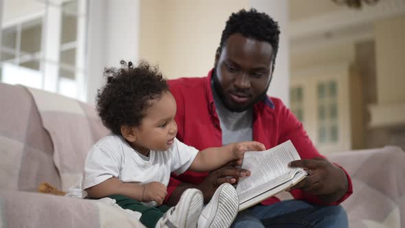 Side View Curios African American Son Enjoying Leisure with Man Reading Book