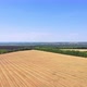 Aerial photography of agricultural fields in Russia. Beautiful views. Sunny day. - VideoHive Item for Sale