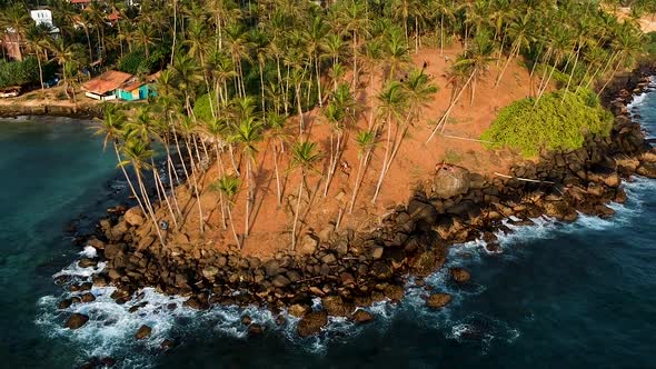 Aerial of Coconut Tree Hill, isolated palm trees. Mirissa, Sri Lanka