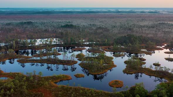 Peaceful low land and islands in swamp in evening, tracking drone shot