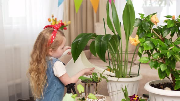 a Little Pretty Girl Watering From a Watering Can the Houseplant with Water