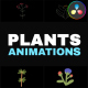 Nature Plants Kids Drawings Animation for DaVinci Resolve - VideoHive Item for Sale