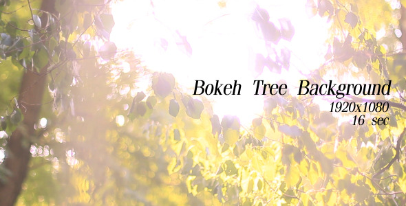 Bokeh Tree Background