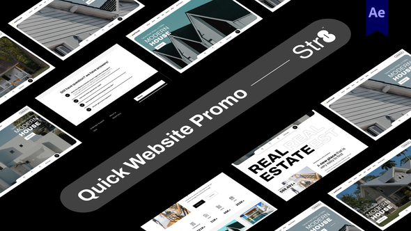Quick Website Promo