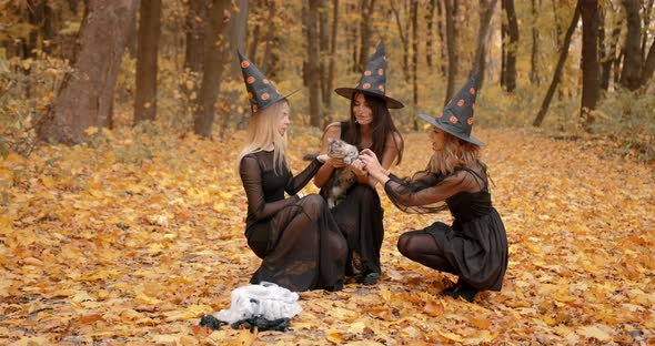 Girls in Witch Costumes Doing Magic in the Autumn Park