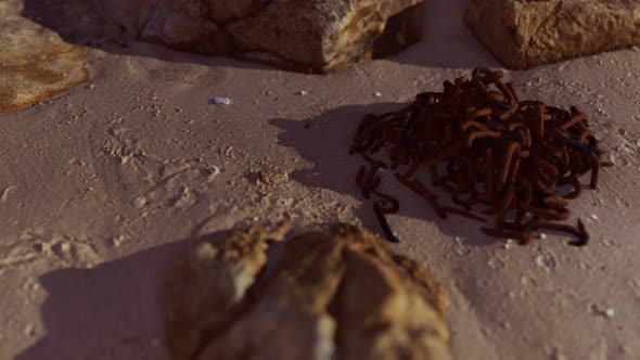 Old Rusted Abandoned Chain on Sand Beach alt