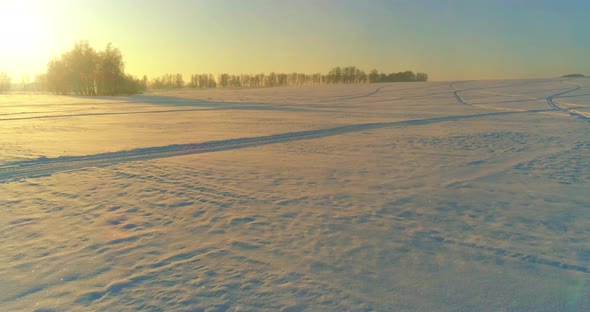 Aerial Drone View of Cold Winter Landscape with Arctic Field, Trees Covered with Frost Snow and