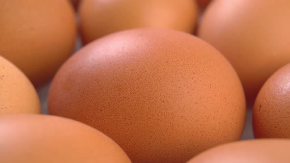 Chicken egg shell texture close up. Brown textured surface. Easter ingredient