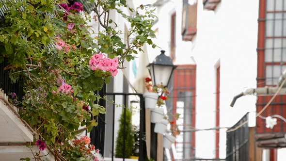 Balconies in Andalusia, Spain