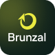 Brunzal - Finance & Business Consulting Template - ThemeForest Item for Sale