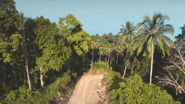 Aerial Jungle Island Forest Road Landscape