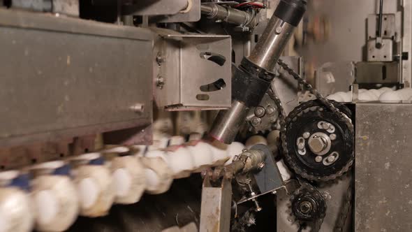 Labelling eggs at high speed